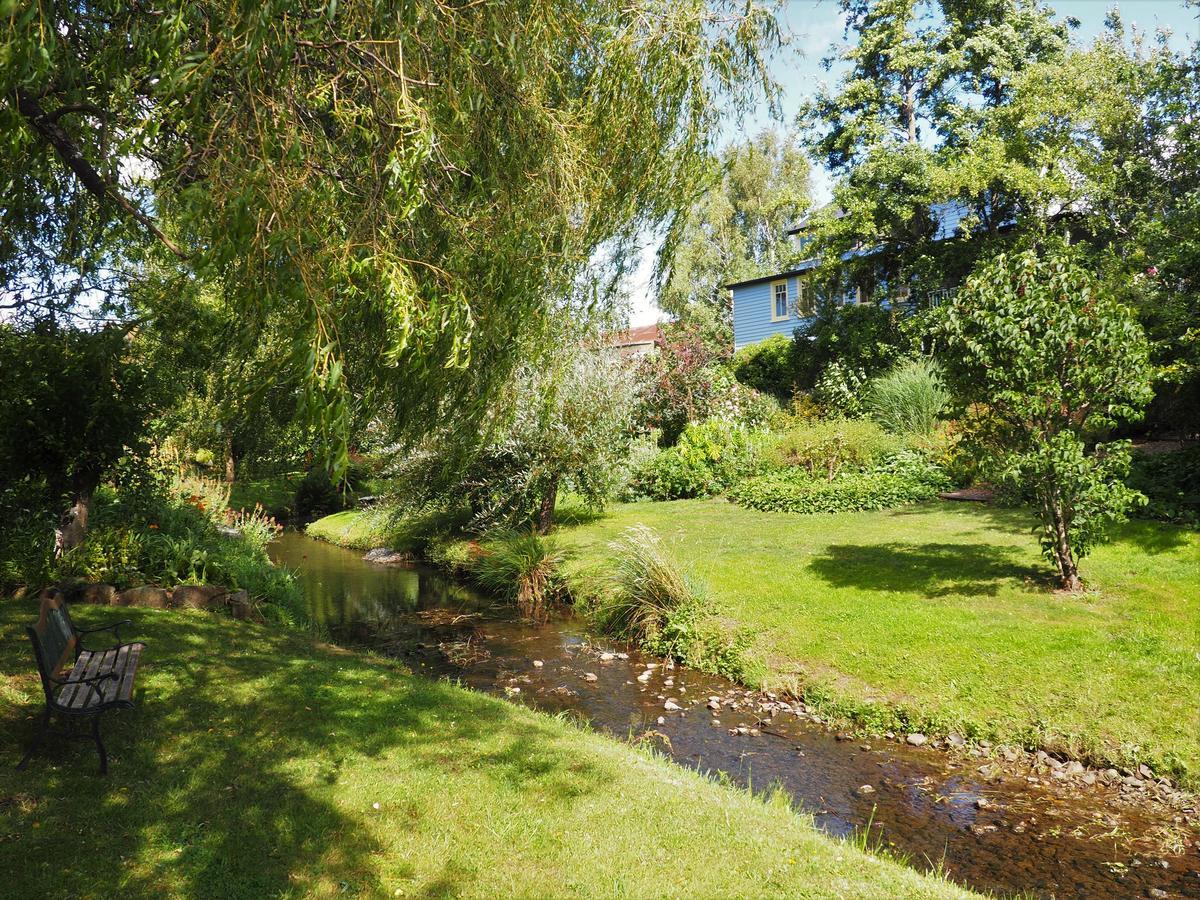 Mole Creek Guesthouse Εξωτερικό φωτογραφία