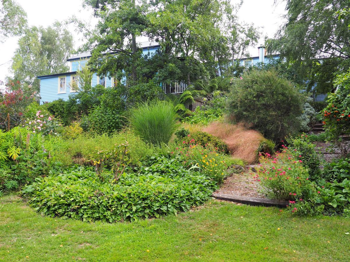 Mole Creek Guesthouse Εξωτερικό φωτογραφία