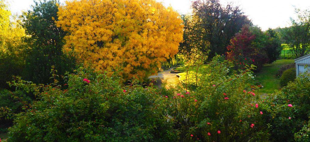 Mole Creek Guesthouse Εξωτερικό φωτογραφία