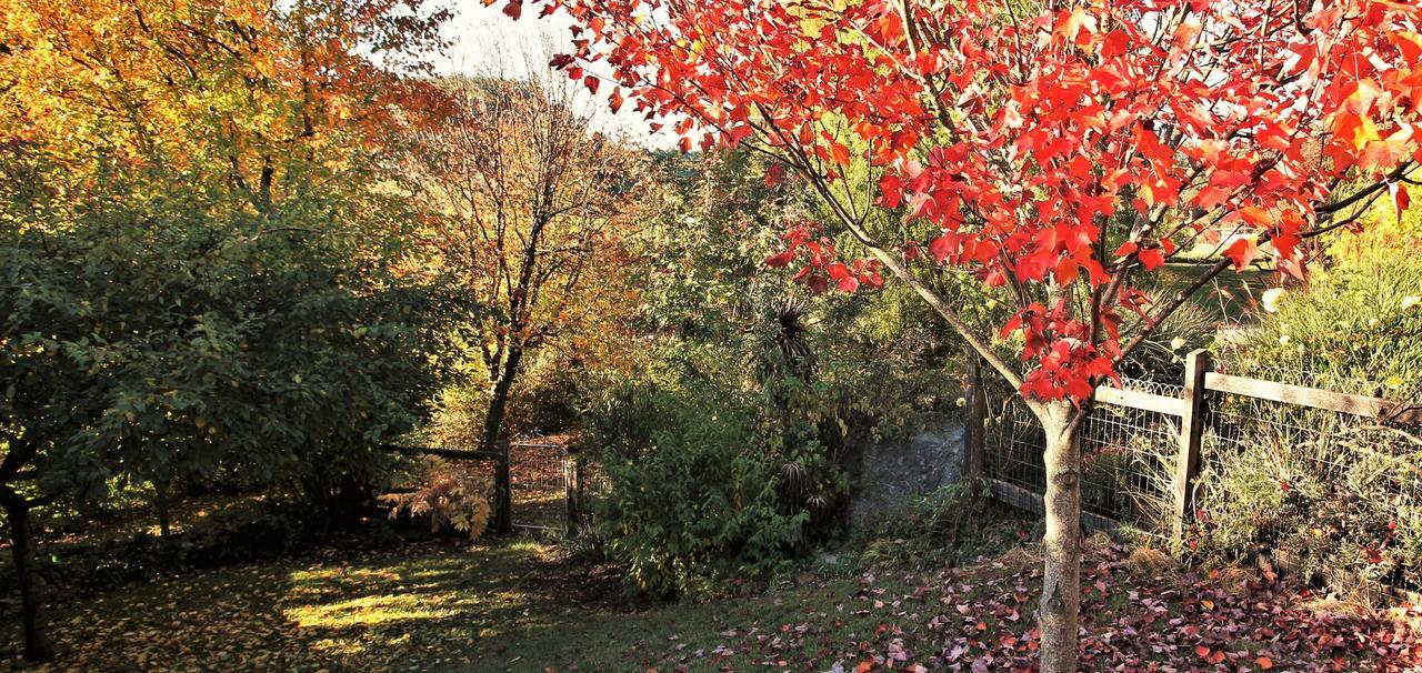 Mole Creek Guesthouse Εξωτερικό φωτογραφία